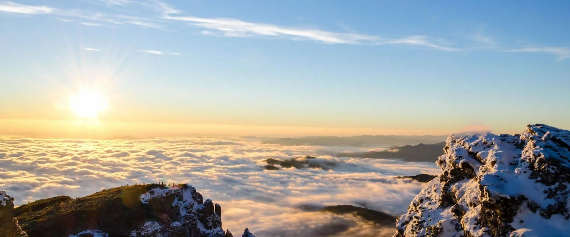 Teamed up with a well-known company